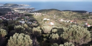 Saip 0 Ada 664 Parsel 3216 M2 Zeytinlik