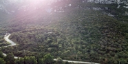 Saip 0 Ada 664 Parsel 3216 M2 Zeytinlik