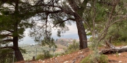 İnecik 0 Ada 852 Parsel 6326 M2 Tarla