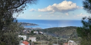 Saip 0 Ada 664 Parsel 3216 M2 Zeytinlik